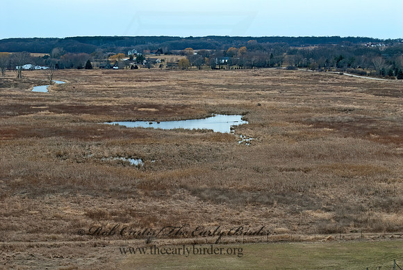 Glacial Park CA 6001358z