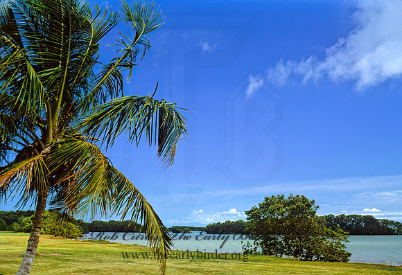 Flamingo Bay 252033z