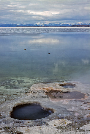 YELLOWSTONE LAKE VENT 133722z