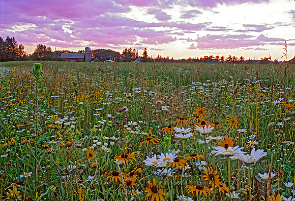 Gleason  PRAIRIE SUNRISE 209606z