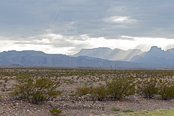 DESERT MOUNTAIN VIEW 3038272z