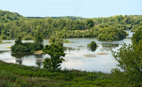 Kickapoo SP 8016442z