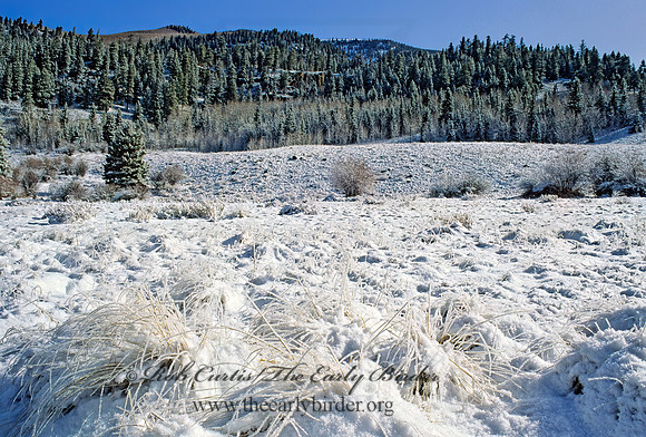 Beaver Creek Camp 103134z