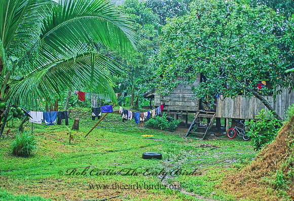 COSTA RICAN SHANTY 194327z