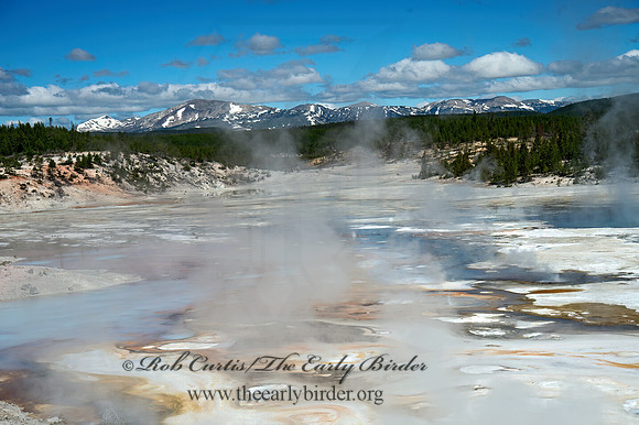 NORRIS GEYSER BASIN 9061235z