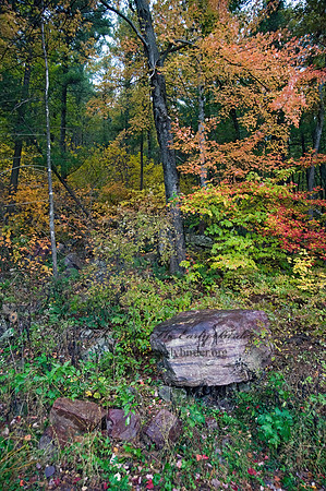 FALL COLORS  8019025z