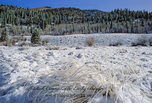 Beaver Creek Camp 103135-z