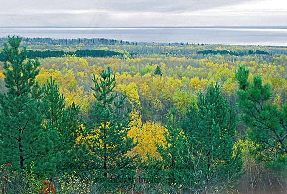 Lake Superior vista 98331z