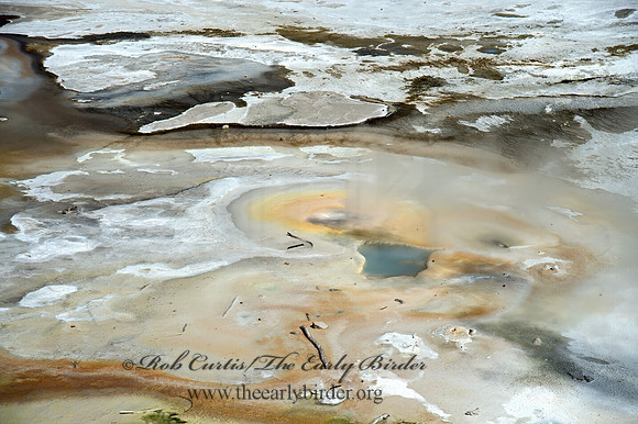 NORRIS GEYSER BASIN 9061243z