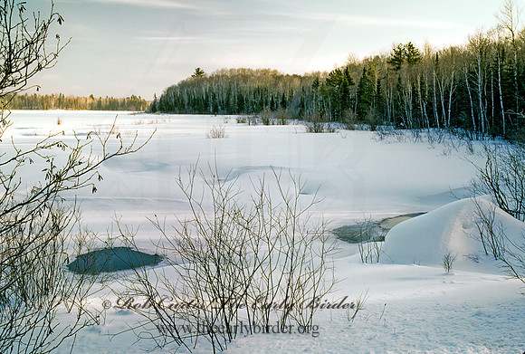 SNOWY FIELD 142319z