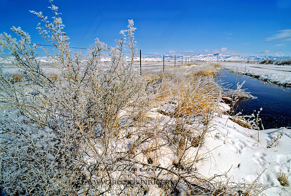 Russell Lake WMA 119328z
