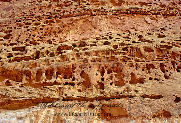 Capitol Reef NP 105026z