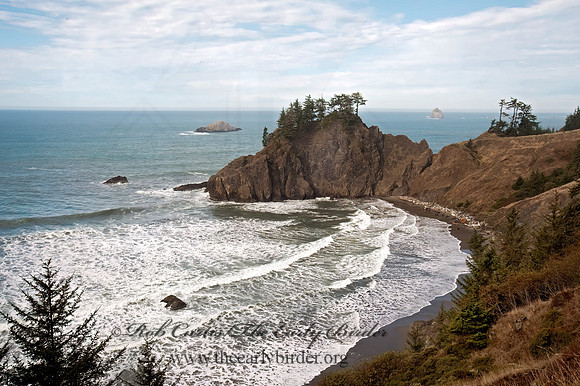 OCEAN VIEW 8019803z