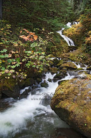 WATERFALL 8019373z