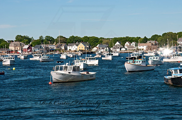 Vinhalen  HARBOR 3013810z