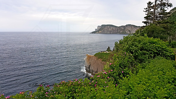 Forillon NP  OCEAN VIEW 2000137z