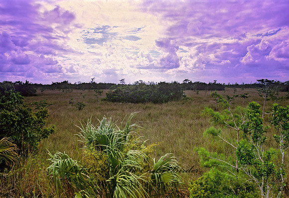 Everglades NP sunrise 252107z