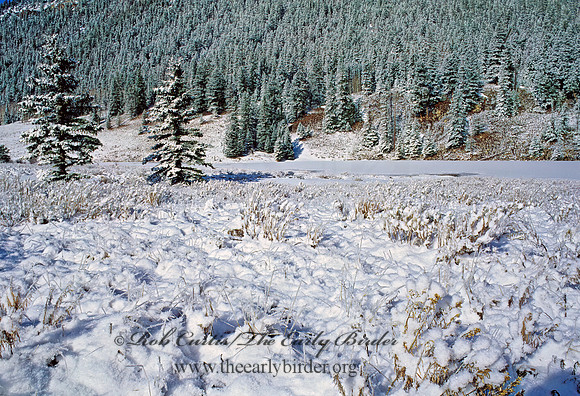Beaver Creek Camp 103133-z