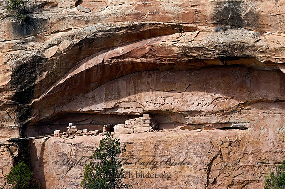 CLIFF DWELLINGS 8035993z