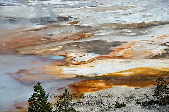 NORRIS GEYSER BASIN 9061219z