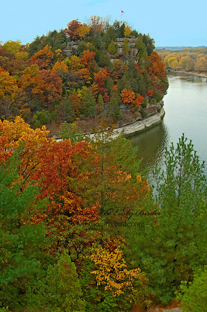 FALL FOREST SCENE 5016991z