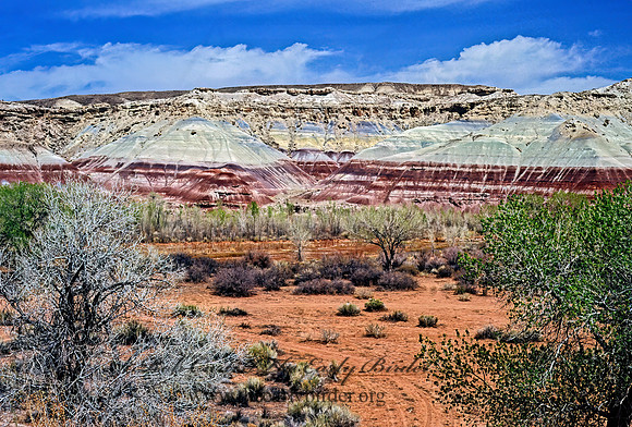 Lake Powell area 104513z