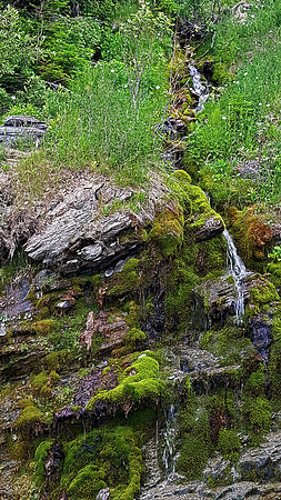 Forillon NP  WATERFALL 2000145z