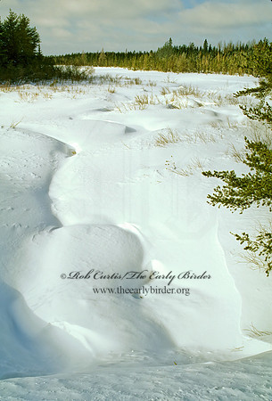 SNOWY FIELD 142328z