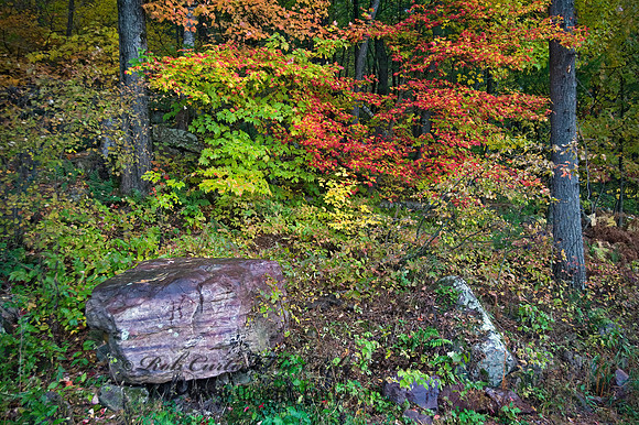 FALL COLORS  8019023z