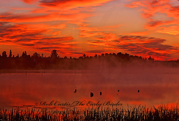 7 Mile Lake  SUNRISE 1285634z