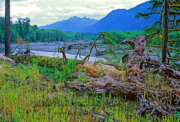 RIVER SCENE 151723z