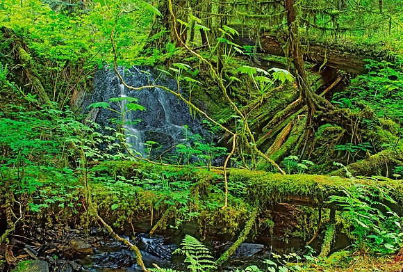 WATERFALL 132436z