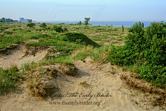 DUNES SCENE 282913z