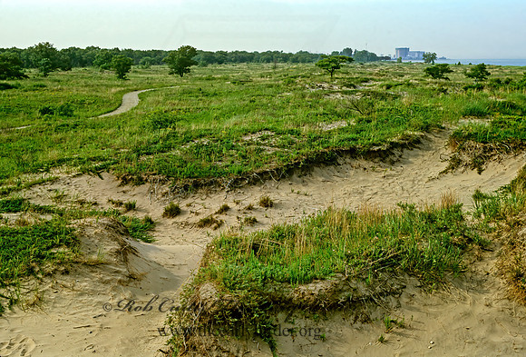 DUNES SCENE 282912z