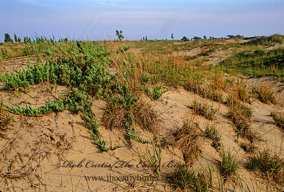 DUNES SCENE 282924z