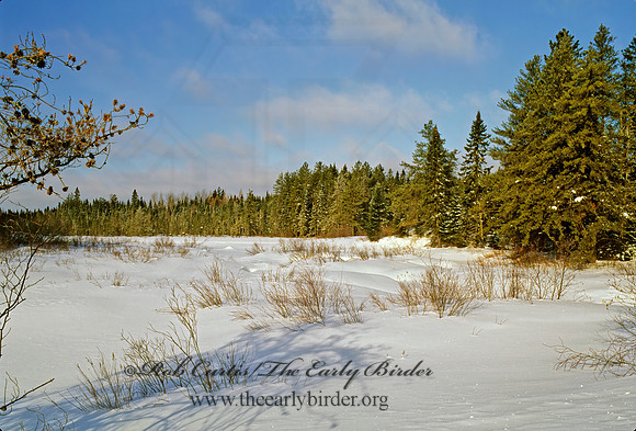 SNOWY FIELD 142324z
