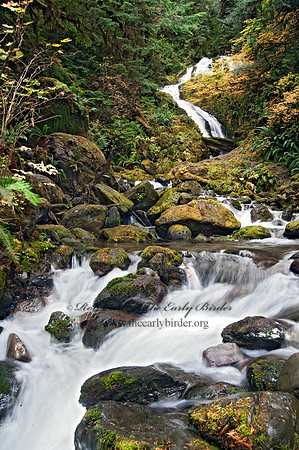 WATERFALL 8019375z