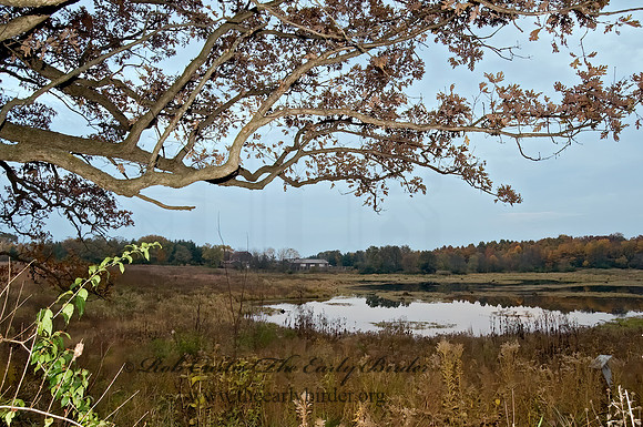 Morraine Hills SP 8009479z