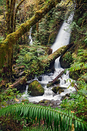 WATERFALL 8019362z