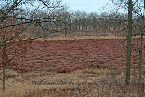 Glacial Park CA 6001375z