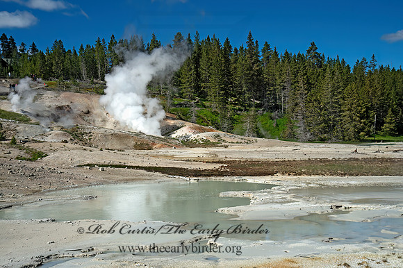 THERMAL SPRING   9061185z