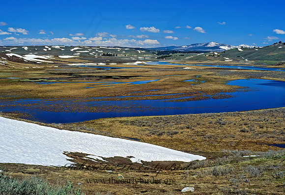 YELLOWSTONE RIVER 133932z