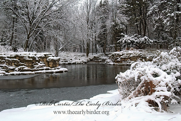 North Park Village NC  WINTER POND 7013806z