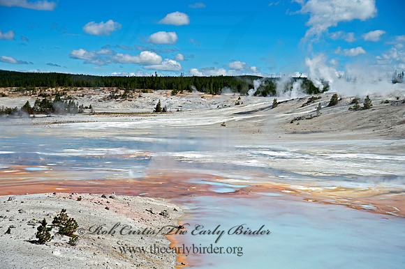 NORRIS GEYSER BASIN 9061208z