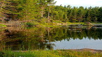 Acadia NP BEAVER POND 2000072z