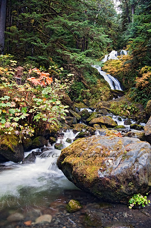 WATERFALL 8019365z