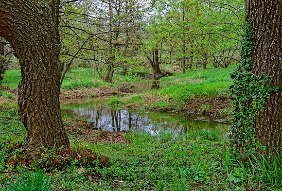 Morton Arboretum 288412z
