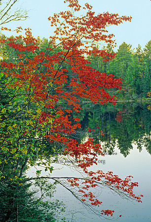 Fenkhe Lake 137015z