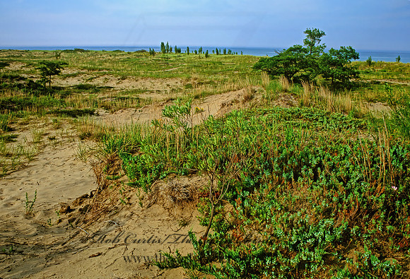 DUNES SCENE 282917z