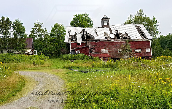 OLD HOUSE RUIN  2000198z